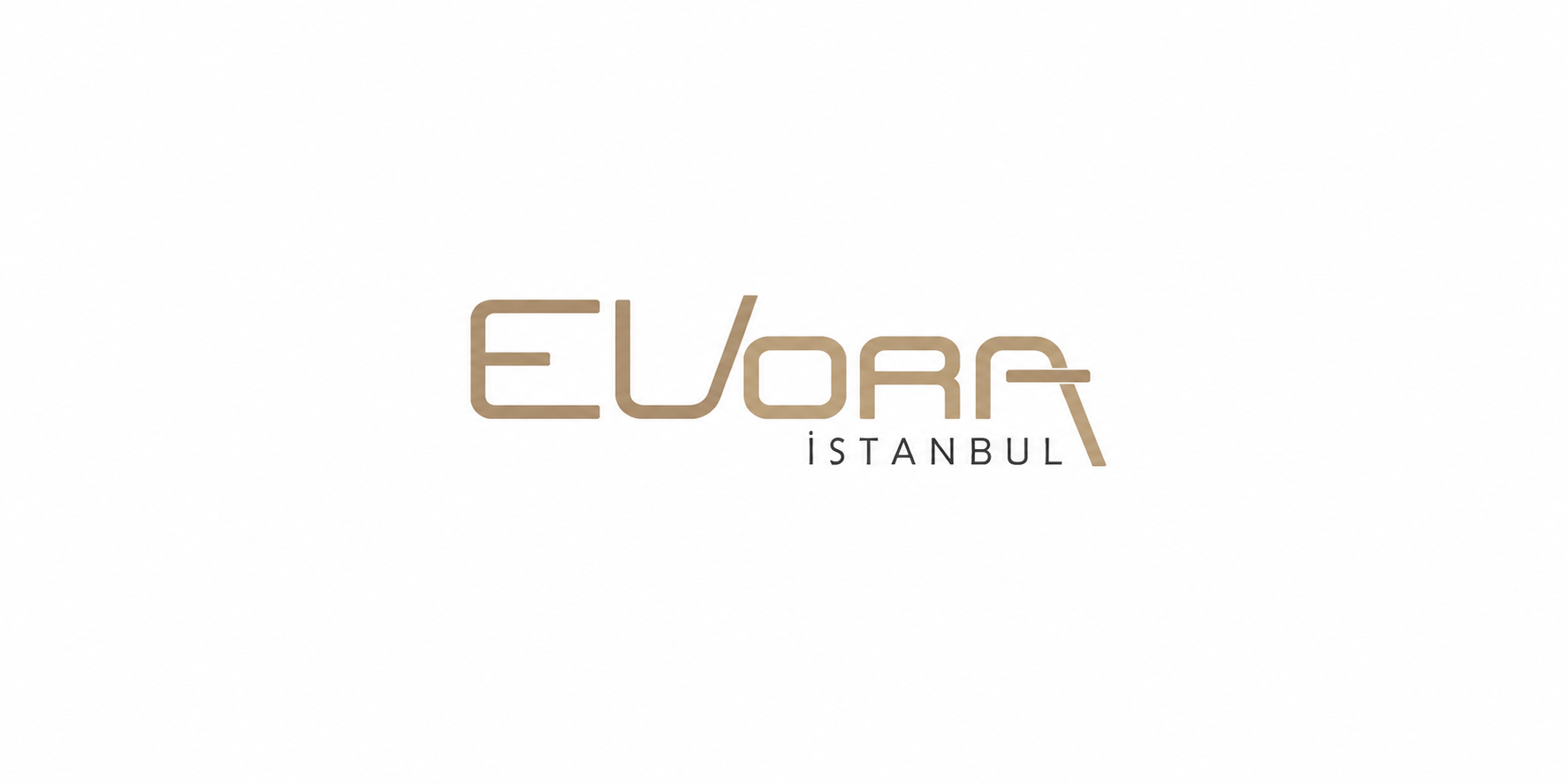 EVORA İSTANBUL  — Plaka Tanıma projesi