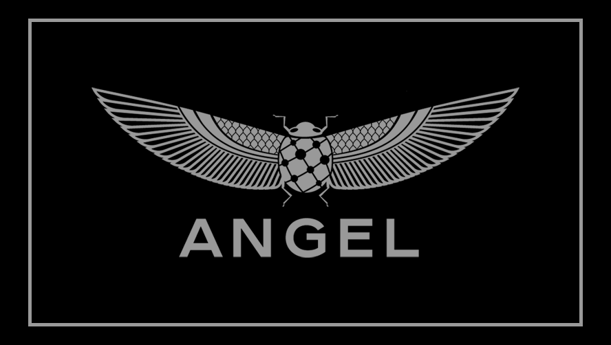 ANGEL YAPI  — Geçiş Kontrol, Plaka Tanıma, Bariyer projesi