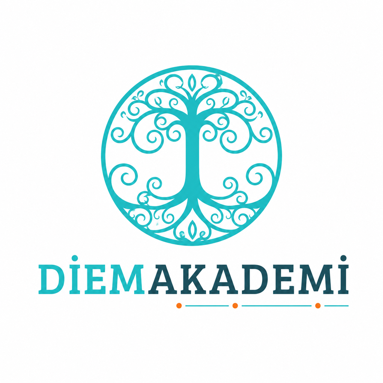 DİEM AKADEMİ  — Hırsız Alarm projesi